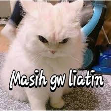 Gambar Lucu Wa Dijamin Ngakak Banjir Embun