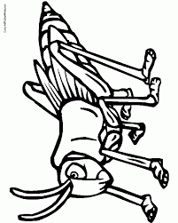 You might also be interested in coloring pages from katydid category. The Very Quiet Cricket Coloring Pages Coloring Home
