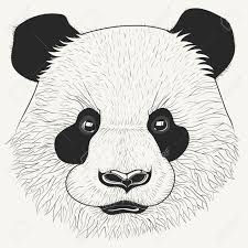 1) draw a rectangle that will define the conditional proportions and boundaries of the chosen drawing. Pencil Sk H Cute Panda Drawing Novocom Top