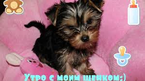 Внешний вид и характеристики