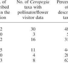 Image result for Riocreuxia chrysochroma