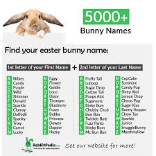 It signals a departure from the kardashian empire. 5000 Most Popular Bunny Names Top 250 Boy Girl Rabbitpedia Com
