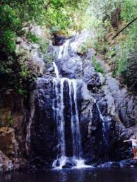 Scarpe comode, ma non obbligatoria scarpa da trekking. How To Make An Interesting Art Piece Using Tree Branches Ehow Sardegna Isola Natura