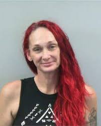 Biddle and Riddle Charged with Felony Identity Theft Detective Kyle Gibson  with McDowell County Sheriff's Office charged 30-year-old Tyrees Biddle of  Marion with felony Identity Theft. He received a secured bond in