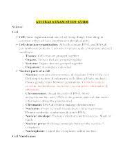 There is a blank template and an answer key. 15 Big Animal Cell Foldable Answer Key Docx 1 Big Animal Cell Foldable Answer Key What You Expect Your Students To Produce Will Depend On Their Course Hero