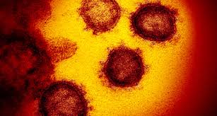 Was Covid 19 Von Der Saisonalen Influenza Unterscheidet