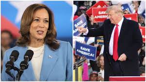 24 general election races to watch in North Carolina