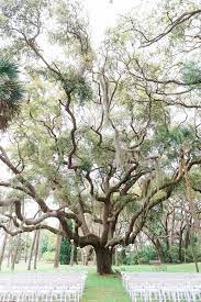 A Southern Wedding At The Ribault Club In Fort George Island Florida Florida Wedding Venues Ribault Club Wedding Waterfront Wedding Venue