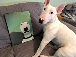 He was an infamous serial killer, killing at least nineteen people (including two children),and a religious fanatic, courtesy of the order's beliefs being imposed upon him as a child.attempting to fulfill a macabre ritual called the 21 sacraments,his life's goal wasto cleanse the world of its sins. Nelson The Bull Terrier Walter Posing With Fan Art Nelson The Bull Terrier Walter Know Your Meme