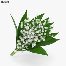 Maybe you would like to learn more about one of these? Lily Of The Valley 3d Model Plants On Hum3d
