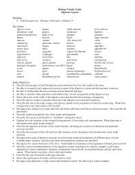 Digestive System In Human Biology Study Guide Bio 9 Docsity