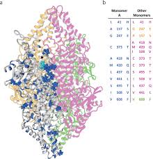 Join facebook to connect with alex bormann and others you may know. Exploring The Therapeutic Potential Of Modern And Ancestral Phenylalanine Tyrosine Ammonia Lyases As Supplementary Treatment Of Hereditary Tyrosinemia Scientific Reports