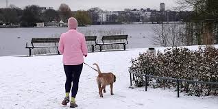 In den nächsten tagen kommt endlich der schnee. Kommt Jetzt Schnee Das Sind Die Wetteraussichten Fur Hamburg Mopo