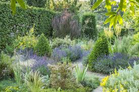 Container plants for pots & planters. Dry Garden Cambridge Botanic Garden