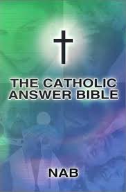 Peter was rebuked by paul for his public disassociation from gentile believers out of fear of the jews. Books By Dave Armstrong The Catholic Answer Bible Dave Armstrong