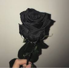Get Inspired By The Color Black For Your Design Projects For More Inspiration Take A Look Black Aesthetic Black Aesthetic Wallpaper Black And White Aesthetic