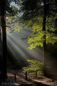 Light In The Dark 1 Beautiful Landscapes Landscape Beautiful Nature