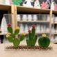 Fused Glass Cactus