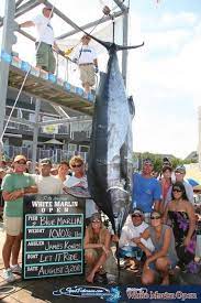 Bragging Board Fish Stories Marlin Fishing Fish Fishing Pictures