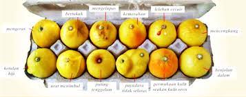 Penyakit barah payudara merupakan barah tisu payudara / buah dada. Jus Pancar Delima Ramai Orang Tak Sedar Dia Ada Kanser Dan Biasanya Tau Tau Je Sudah Masuk Stage 4 Jom Kita Kenali Tanda Tanda Kanser Payudara Kanser Payudara Merupakan Kanser
