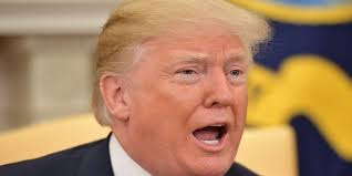 Introducción a veto presidencial definición de veto presidencial ver el significado de veto veto presidencial. Trump Uso Por Primera Vez El Veto Presidencial Para Financiar El Muro Fronterizo Con Mexico Ccnesnoticias