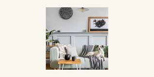 Say goodbye to stubborn pet stains! Best Vacuum For Pet Hair Best Vacuum For Dog And Cat Hair