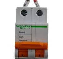 Schneider Electric EA9AN2C25 C25 Circuit Breaker Switch 2 Pole
