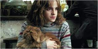 Harry Potter 10 Times Crookshanks Was The Best Pet Screenrant Harry Potter Characters Harry Potter Characters Names Harry Potter Pictures