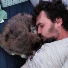 Dalton ogle (@daltonogle1)