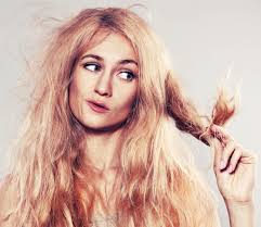 Avocado is a natural moisturizer that nourishes deeply. Hair Problem Women Fitness