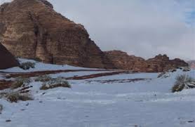 Please note that skyhike is not included with this special offer attractions pass, but is available. Enjoy Neom S Snow Neom Ticketing Box Office