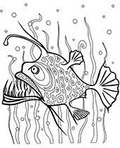 Sketch of angler fish coloring pages to color, print and download for free along with bunch of favorite angler fish coloring page for kids. Realistic Seahorse Coloring Page Topcoloringpages Net