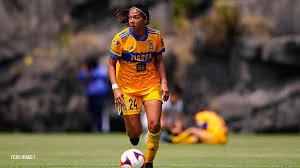 Tigres femenil logra su tercer título de liga y de esos tres fueron venciendo a rayadas… obviamente tiene un sabor especial estos campeonatos. Houston Dash Adquiere Los Derechos De Maria Sanchez De Tigres Futbol Total