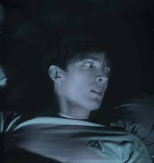 Exploring the Lore Behind Flamingo Characters