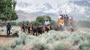 In Memoriam of Bobby Tanner