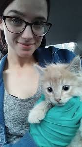 Found Kitten at Confluence Park