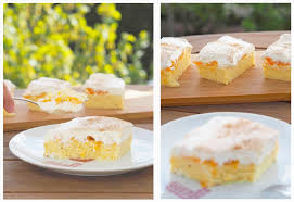 Schneller Mandarinen Quark Schmand Blechkuchen Wiewowasistgut Com Rezept Blechkuchen Kuchen Blechkuchen Thermomix