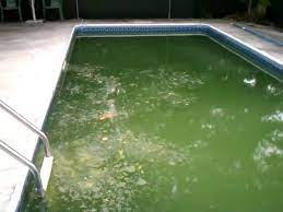 If your cover has a hole in it, you will be pumping water out of the swimming pool. How To Clean A Green Pool The Swamp In 3 Days Youtube