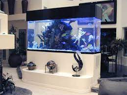 Acquario Dividere 2 Ambienti Con Un Acquario Lasciatevi Ispirare Idee Acquario Acquario Marino Acquario Barriera Corallina