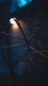 Manzara Manzara Beautiful Wallpapers Aesthetic Wallpapers Rain Wallpapers