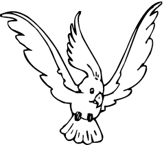 Download this adorable dog printable to delight your child. Cockatoo Coloring Page Animals Town Animals Color Sheet Cockatoo Free Printable Coloring Pages Animals
