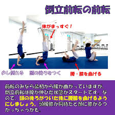 デイジー体操教室 デイジー体操教室