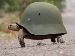 Resultado de imagen de animales muy muy graciosos