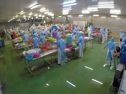 Education agents in petaling jaya? Home North Cube