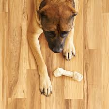 A range of different options, from commercial grade vinyl to antimicrobial vinyl, are available.this gives you more options when choosing the best flooring for your dog(s). Vinyl Wood Look Flooring Ideas