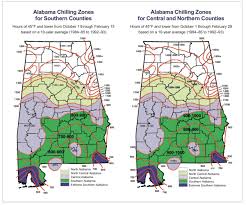 I started collecting pomegranate varieties to see what varieties will grow and produce fruit in our climate. Fruit Culture In Alabama Winter Chilling Requirements Alabama Cooperative Extension System