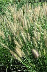 SynRG 2021: Silver Bullets?