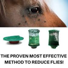 House flies and stable flies are common pests around horse barns and corrals. 360 Horses Ideas In 2021 Horses Hoof Care Healthy Horses