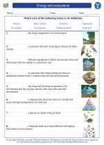 Learn about plant and animal cells with these diagrams, worksheets, and activities. Energy And Ecosystems 5th Grade Science Worksheets And Answer Keys Study Guides And Vocabulary Sets