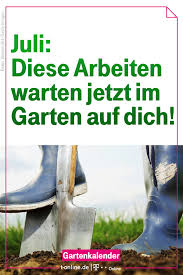 Jetzt Ein Zweites Mal Den Rasen Dungen Gartenkalender Rasen Dungen Garten
